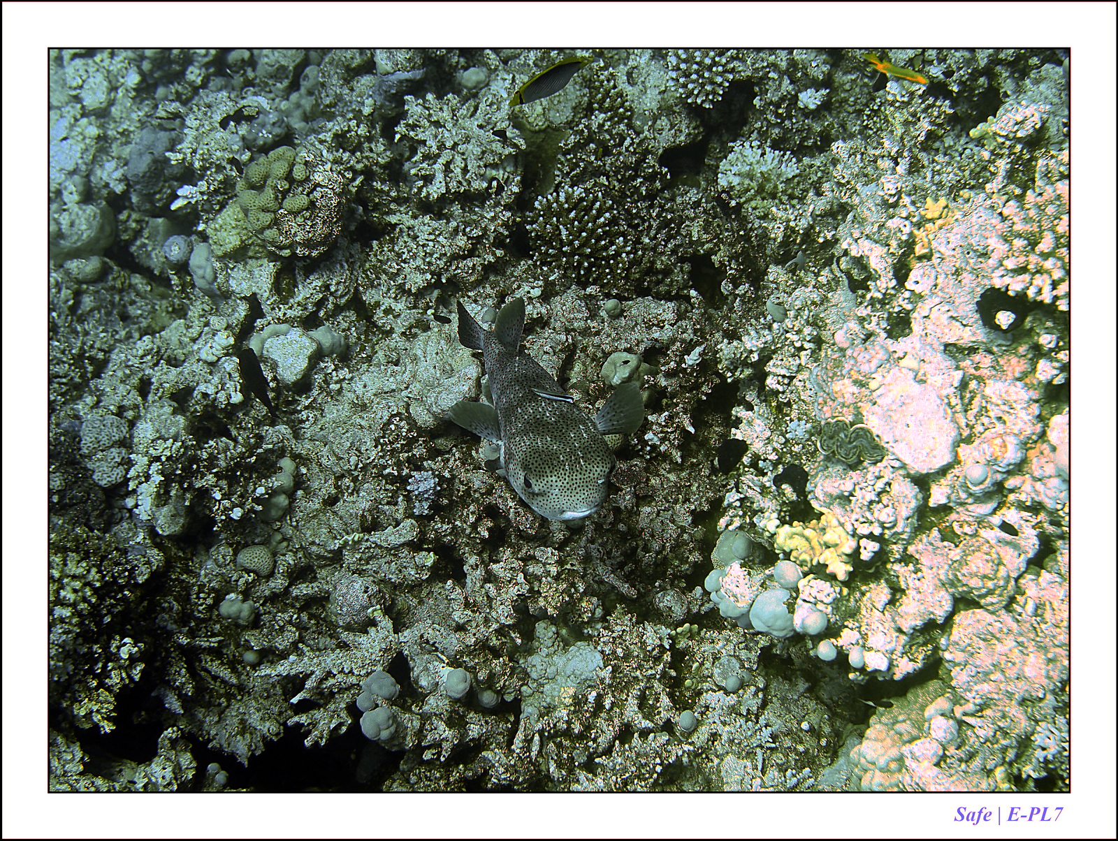 Hurghada - Juillet 2021 - 073